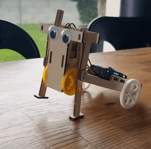 Abonnement 3 mois à la Bot'Offre Mystère
