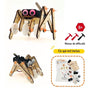 SpiderBot 2.0: The Ultimate Evolution of the Robotic Spider - STEM Wooden Assembly Kit