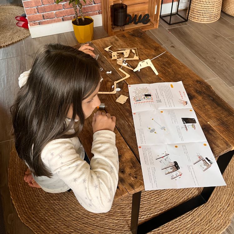 Iguanobot : Le roi de la démarche rigolote - Kit d'assemblage en bois STEM